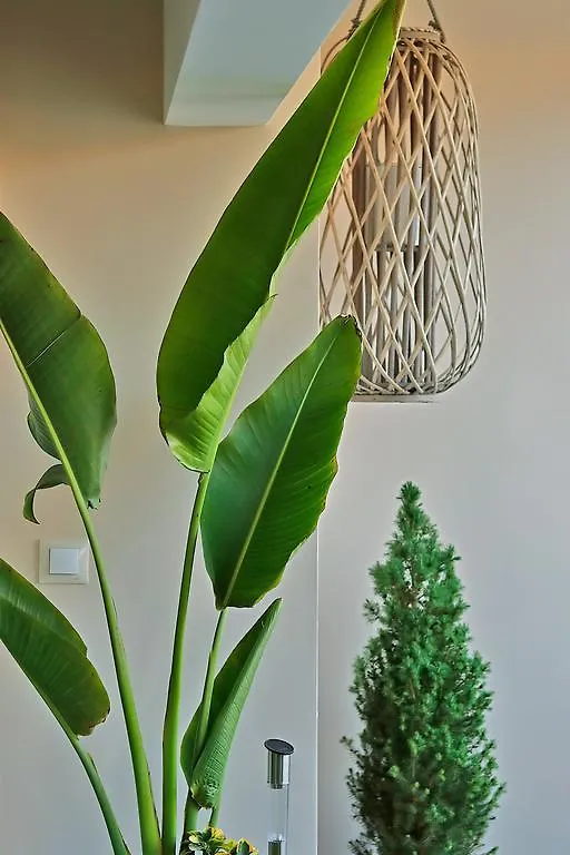 Apartamento Luxury Cabaret Suite Málaga